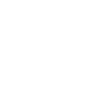 logo white`